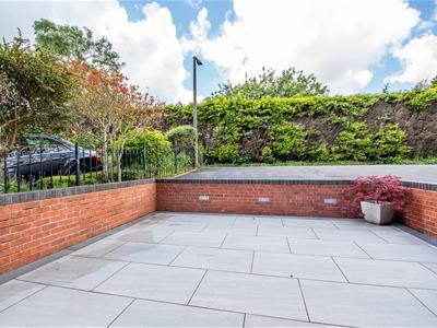 Picture 24
